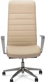 Profoffice Stripe A