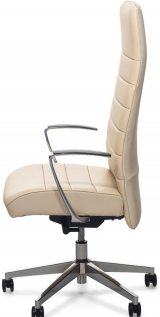 Profoffice Stripe A